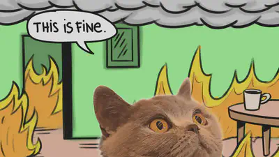 处于燃烧房间中的猫说：“一切正常。”
