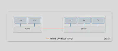 Ambient mesh 使用一个共享的、每个节点的 ztunnel 来提供一个零信任的安全覆盖。