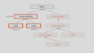 使用与之前相同的 PKI 树，我们展示了在树的一部分中撤销中间 CA 如何使该中间证书以及由它创建的叶证书无效。