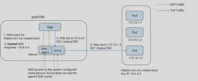 Istio 中的智能 DNS 代理