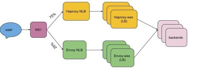 流程图显示DNS迁移过程中涉及的组件和步骤